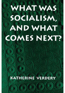 What Was Socialism, and What Comes Next?