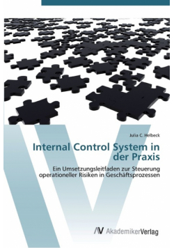 Internal Control System in der Praxis