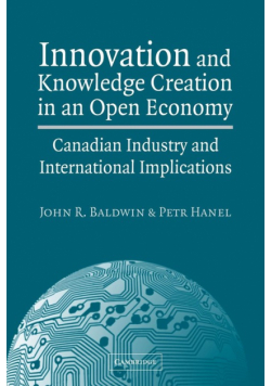 Innovation and Knowledge Creation in an Open Economy