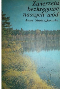Zwierzęta bezkręgowe naszych wód