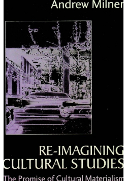 Re imagining cultural studies