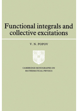 Functional Integrals and Collective Excitations