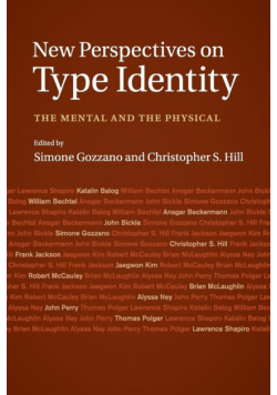 New Perspectives on Type Identity