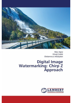 Digital Image Watermarking