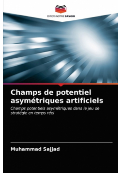 Champs de potentiel asymétriques artificiels