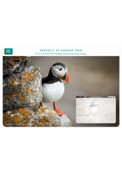 Planer tygodniowy Puffin