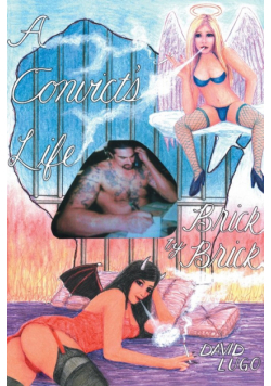 A Convict's Life Brick by Brick