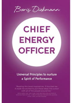 Chief Energy Officer