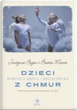 Dzieci z chmur Opowieść o adopcji i macierzyństwie