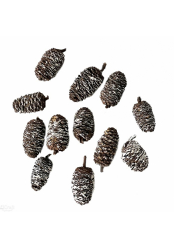 Mini szyszki bielone 12szt