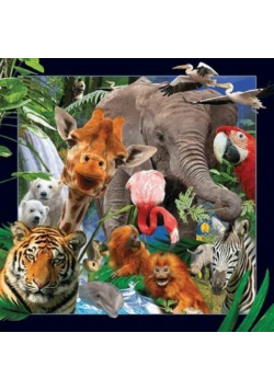 Pocztówka 3D - Dzikie zwierzęta