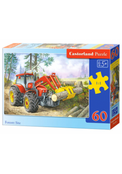 Puzzle Forest Site 60