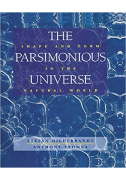 The Parsimonious Universe Shape and Form in the Natural World