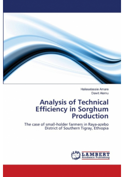 Analysis of Technical Efficiency in Sorghum Production