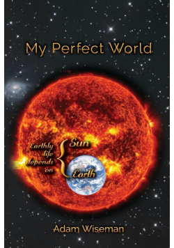 My Perfect World
