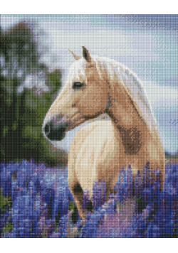 Diamentowa mozaika - Spacer po lawendowym..40x50cm