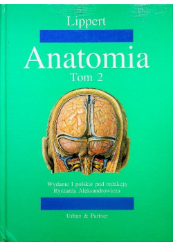 Anatomia Tom 2
