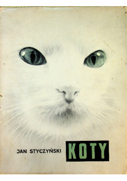 Koty