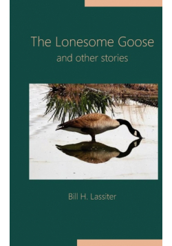 The Lonesome Goose and Other Stories