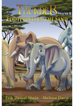 Footprints in the Sand