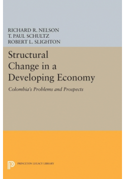 Structural Change in a Developing Economy
