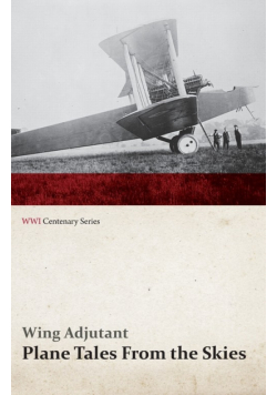 Plane Tales from the Skies (WWI Centenary Series)
