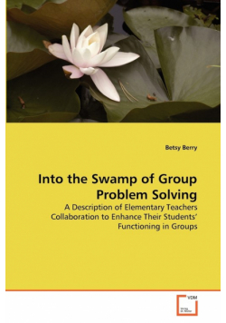 Into the Swamp of Group Problem Solving