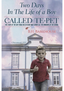 Two days in the life of a boy called Te-pet