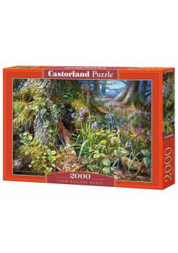 Puzzle 2000 Z lasu w Rusland CASTOR