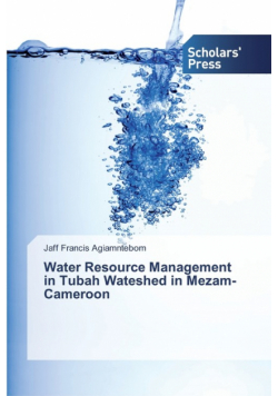 Water Resource Management in Tubah Wateshed in Mezam-Cameroon