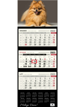 Kalendarz 2023 ścienny trójdzielny premium Pies