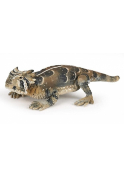Frynosoma rogata