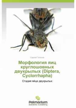 Morfologiya Yaits Krugloshovnykh Dvukrylykh (Diptera, Cyclorrhapha)
