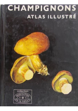 Mały atlas grzybow