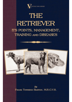 The Retriever