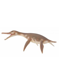 Dinozaur dolichorhynchops