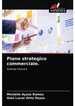 Piano strategico commerciale.