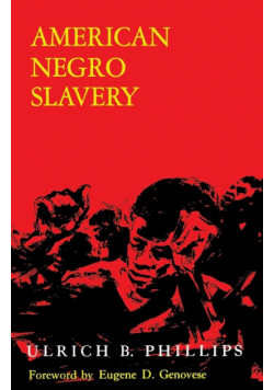 American Negro Slavery