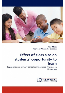 Effect of class size on students' opportunity to learn