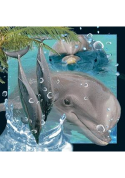 Magnes 3D Delfin