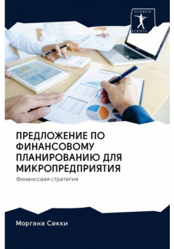 ПРЕДЛОЖЕНИЕ ПО ФИНАНСОВОМУ ПЛАНИРОВАНИЮ ДЛЯ МИКРОПРЕДПРИЯТИЯ