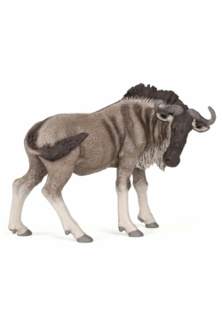 Antylopa Gnu