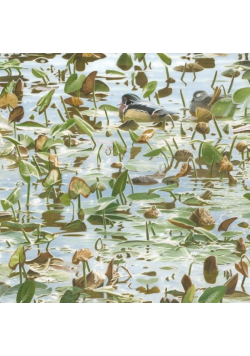 Karnet kwadrat z kopertą Synchronicity Wood Ducks