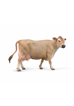 Jersey Cow Krowa