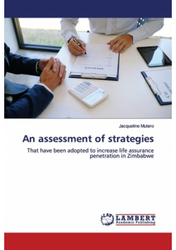 An assessment of strategies