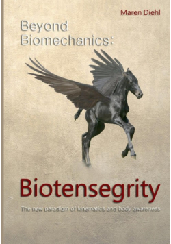 Beyond Biomechanics - Biotensegrity