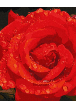 Malowanie po numerach - Róża w diamentach 40x50cm