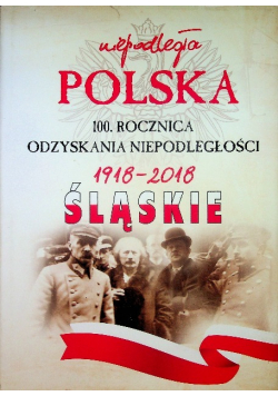 Niepodległa Polska 100 rocznica odzyskania niepodległości 198 2018 Śląskie
