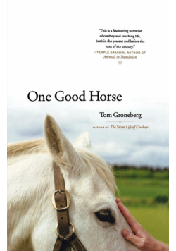 One Good Horse