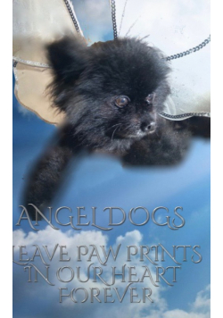 Angel Dogs in Heaven